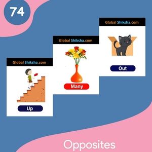 Flash card